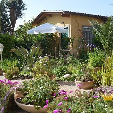 Le Cicale Villa Casal Palocco Eksteriør bilde