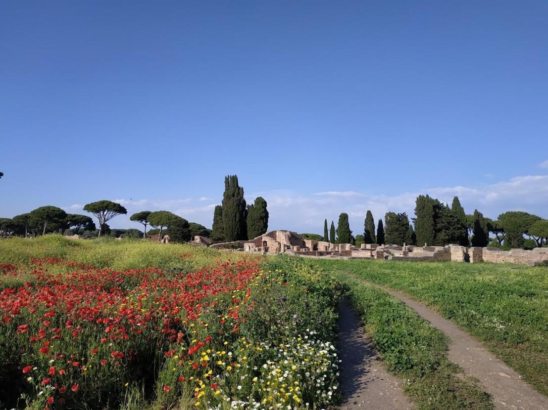 Le Cicale Villa Casal Palocco Eksteriør bilde
