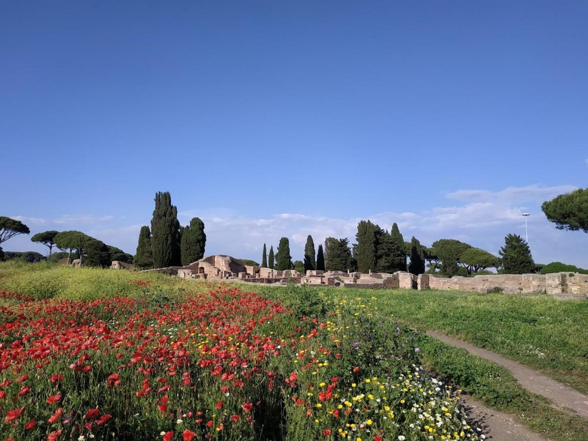 Le Cicale Villa Casal Palocco Eksteriør bilde