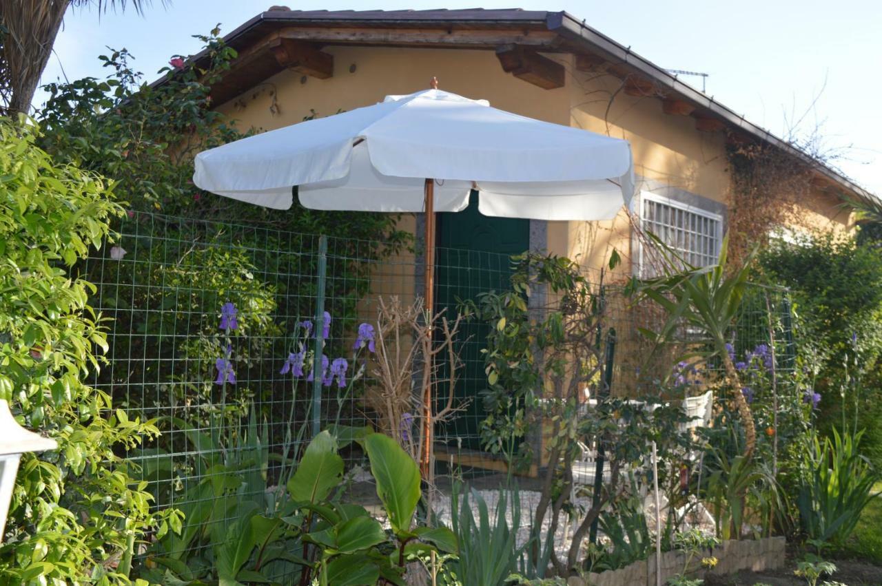 Le Cicale Villa Casal Palocco Eksteriør bilde